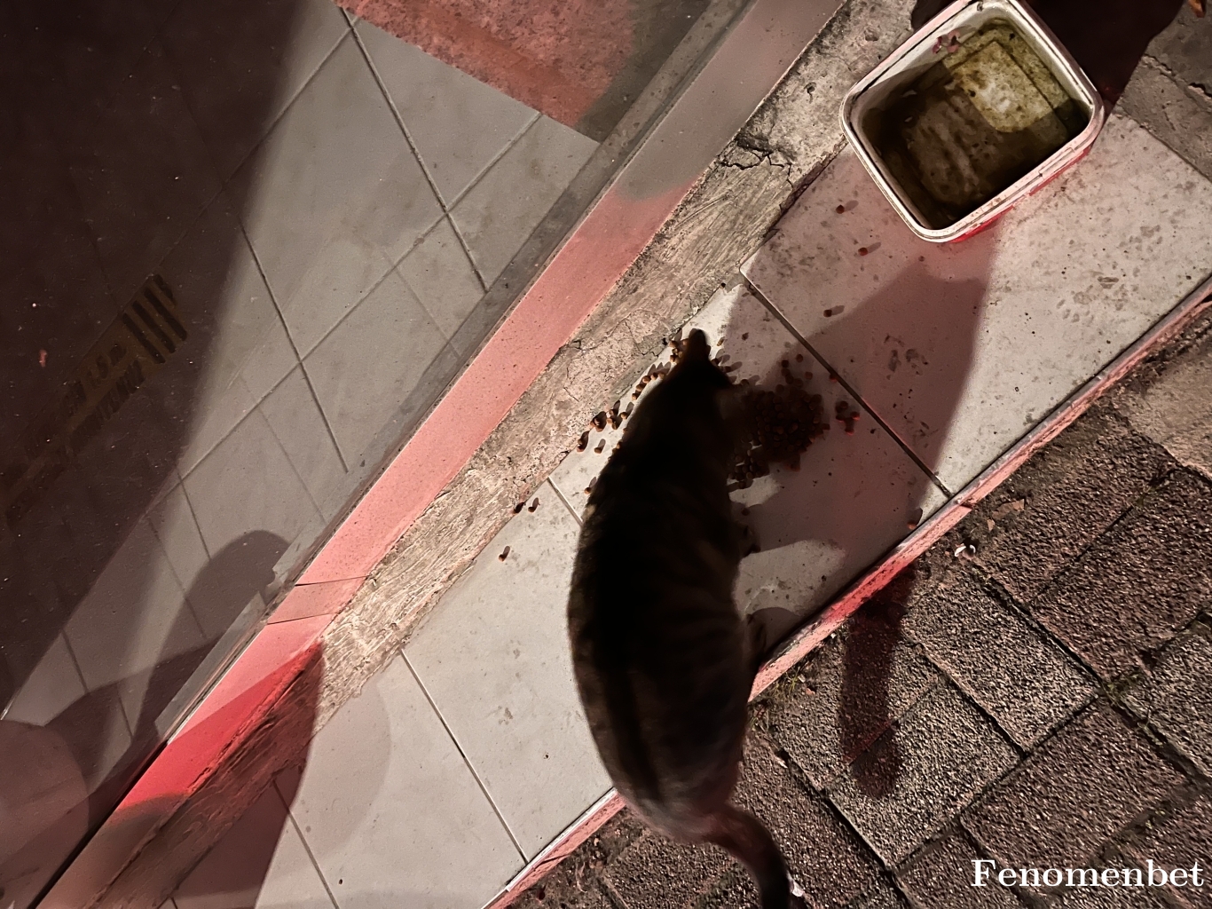 ahmetgvn9 tarafından paylaşıldı