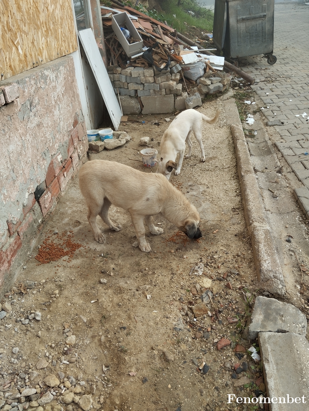 Mecccc tarafından paylaşıldı