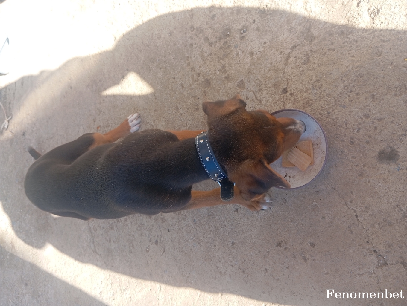 Hakanx5 tarafından paylaşıldı