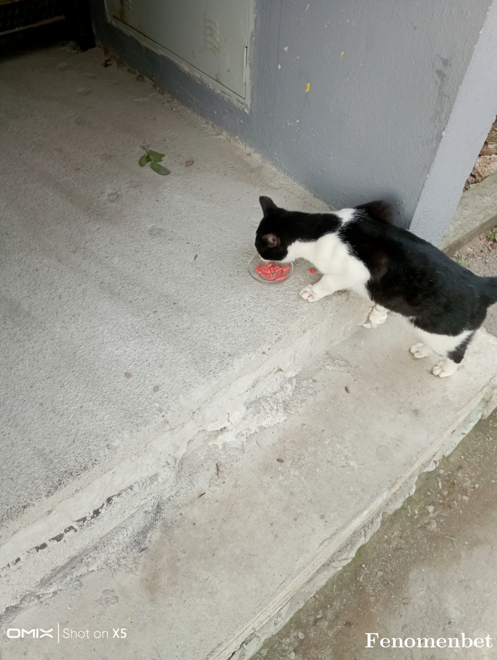 Osman1723 tarafından paylaşıldı