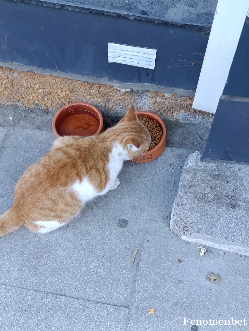 zxcasdzxc  tarafından paylaşıldı