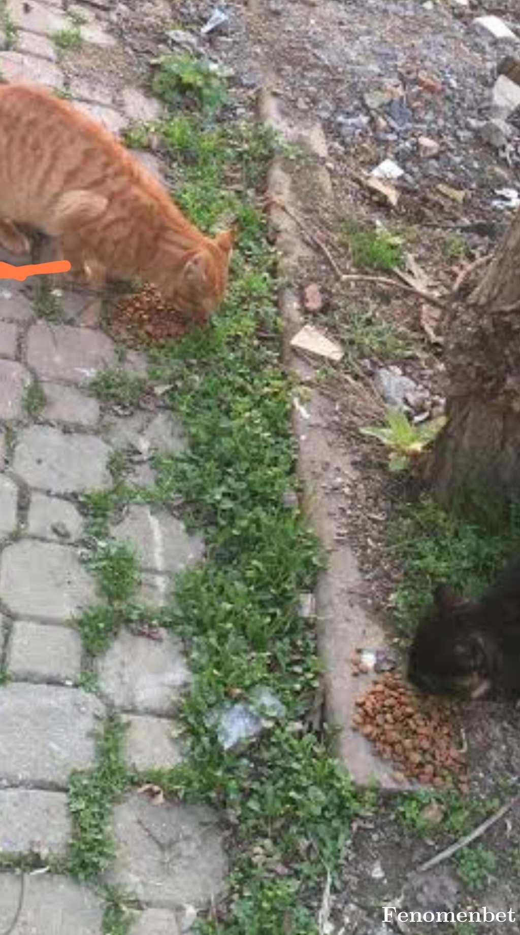 Ali6333 tarafından paylaşıldı