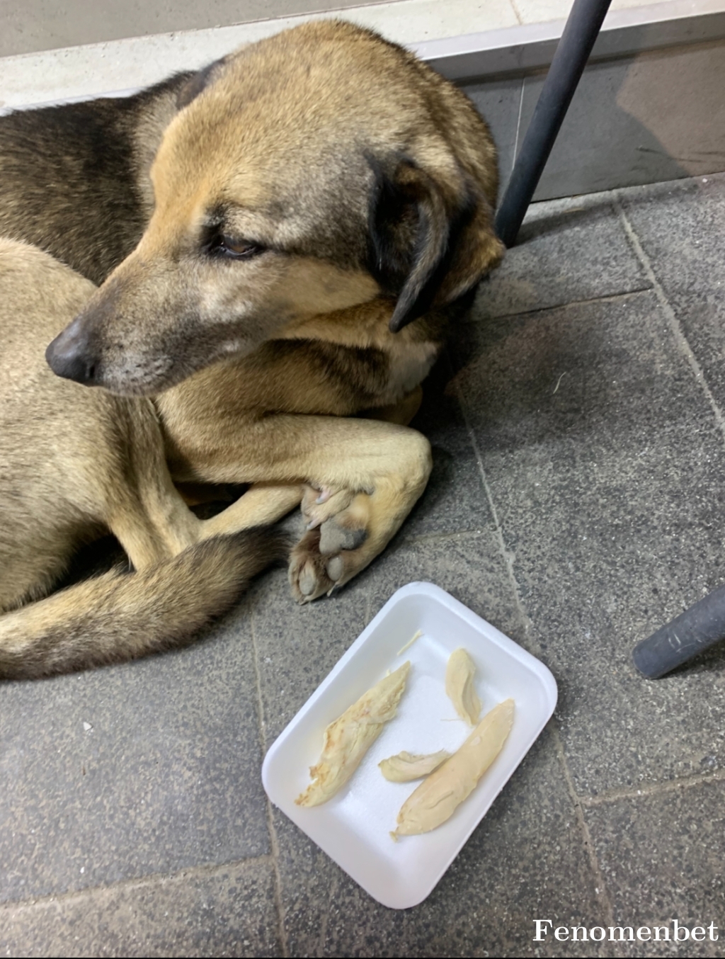 burakokszz tarafından paylaşıldı