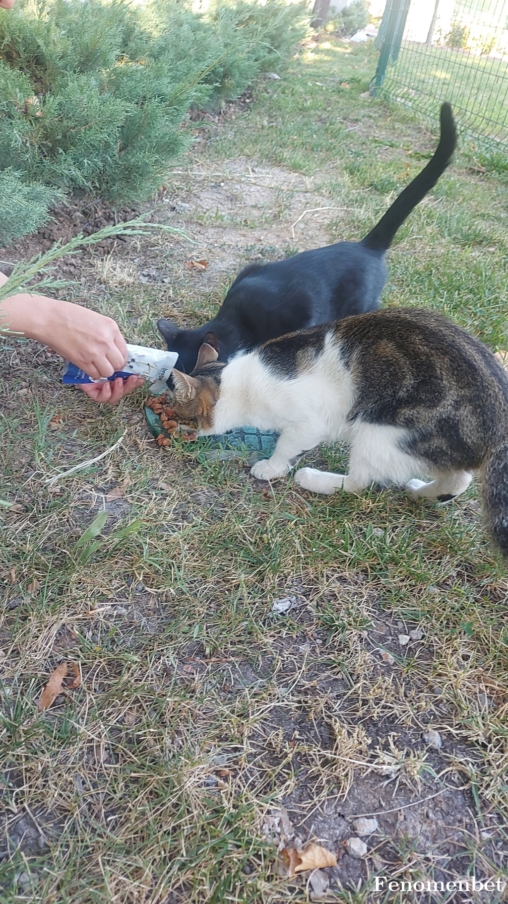 Ermkubra tarafından paylaşıldı