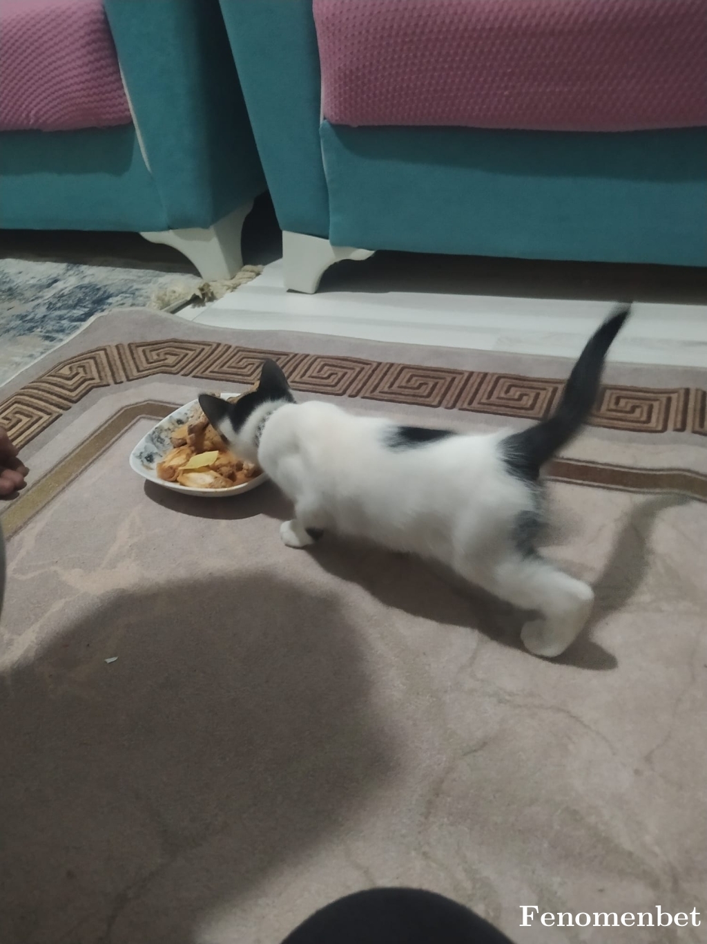 Ozcan1990 tarafından paylaşıldı