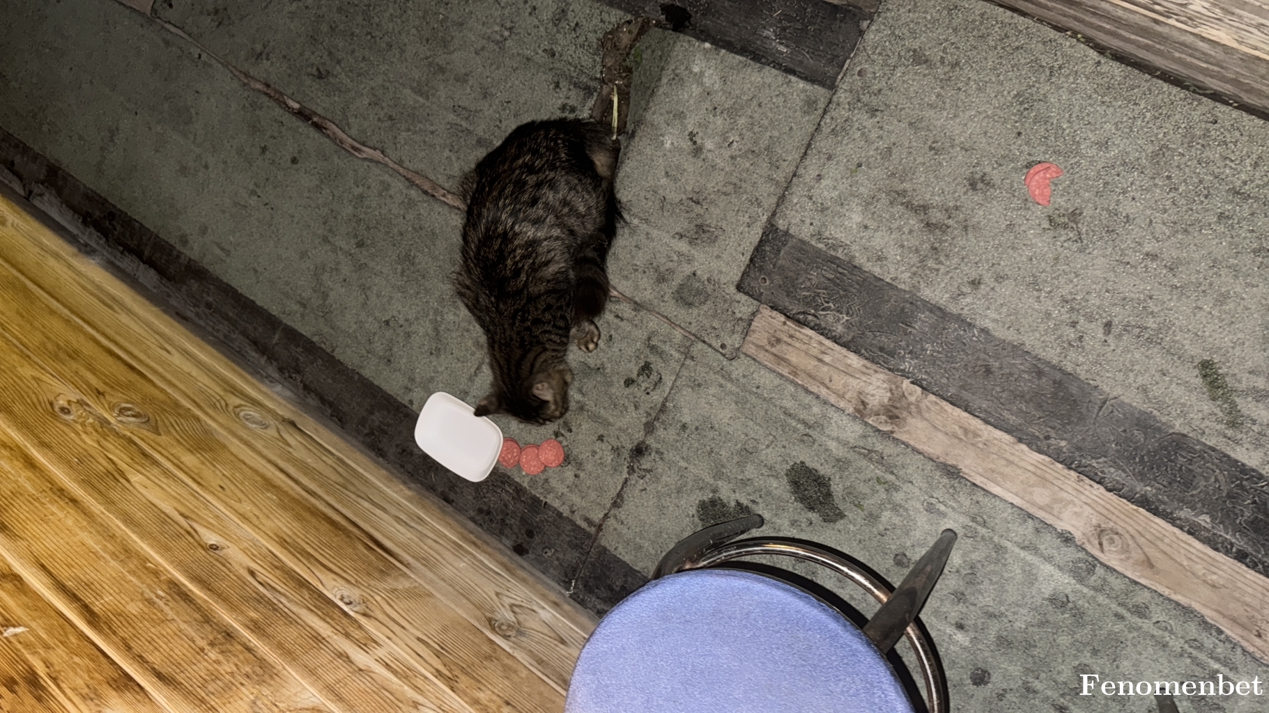 Sinner9 tarafından paylaşıldı