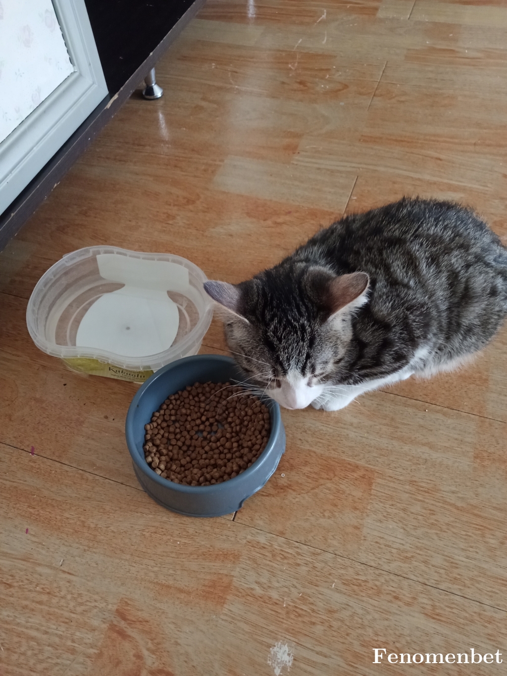 Sonic55 tarafından paylaşıldı