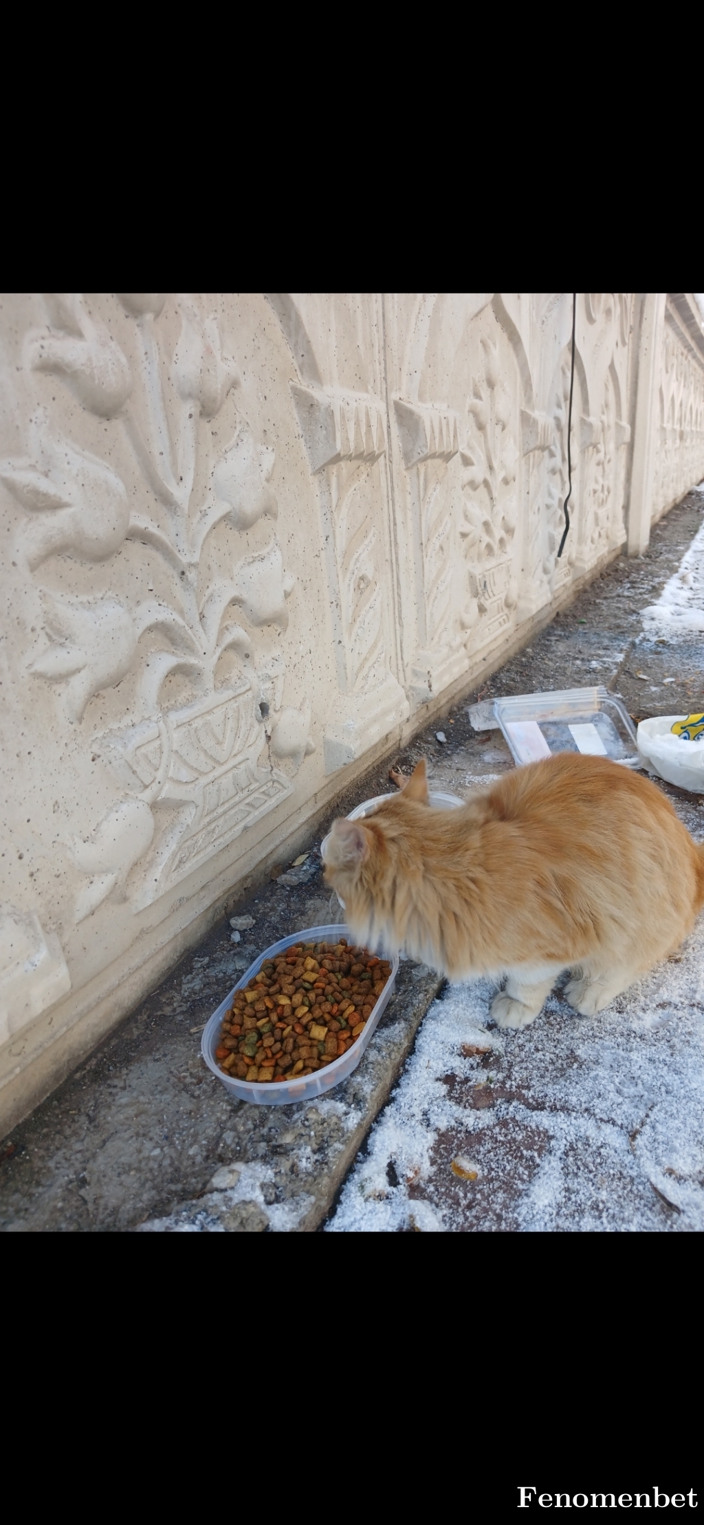 gzmtrrgtt tarafından paylaşıldı