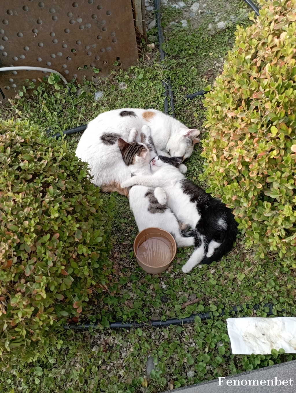 seher344 tarafından paylaşıldı