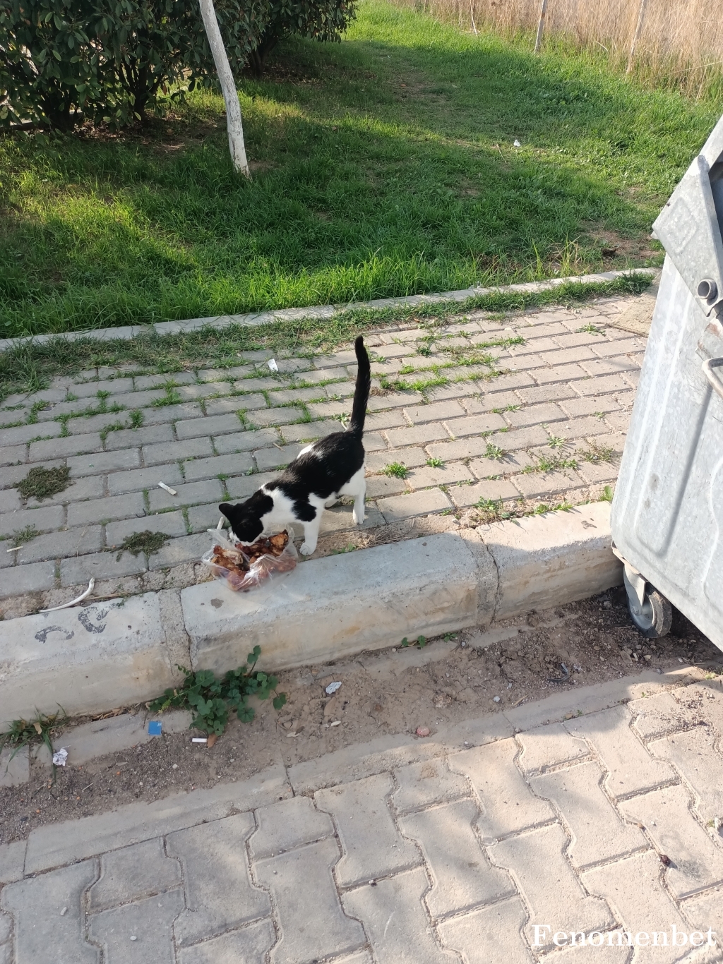 Receptikir tarafından paylaşıldı