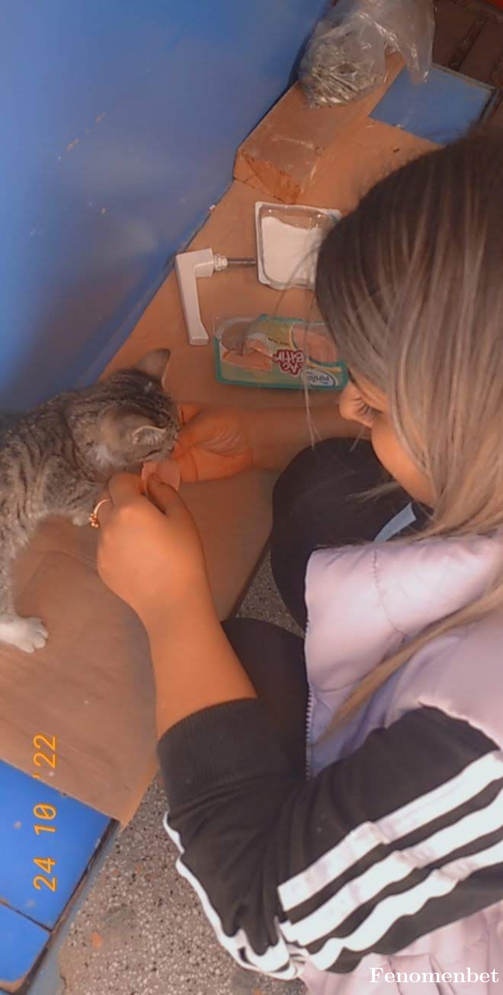 Aysekn tarafından paylaşıldı