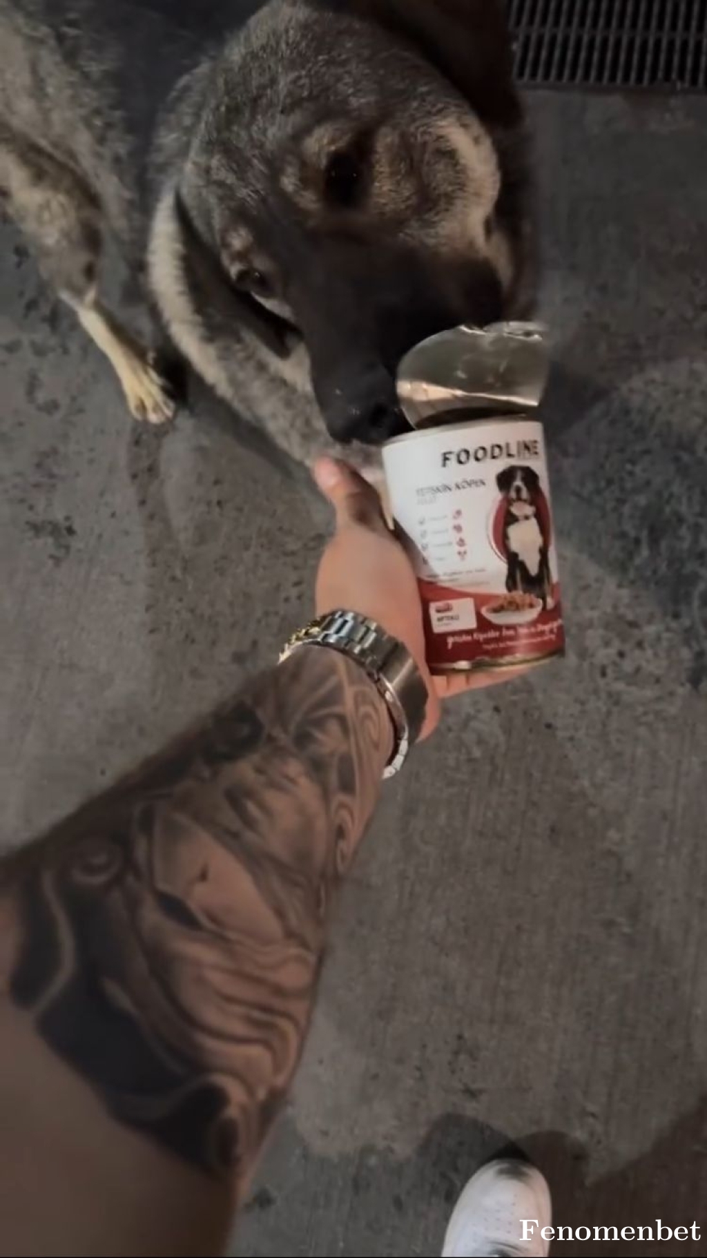 muracakir tarafından paylaşıldı