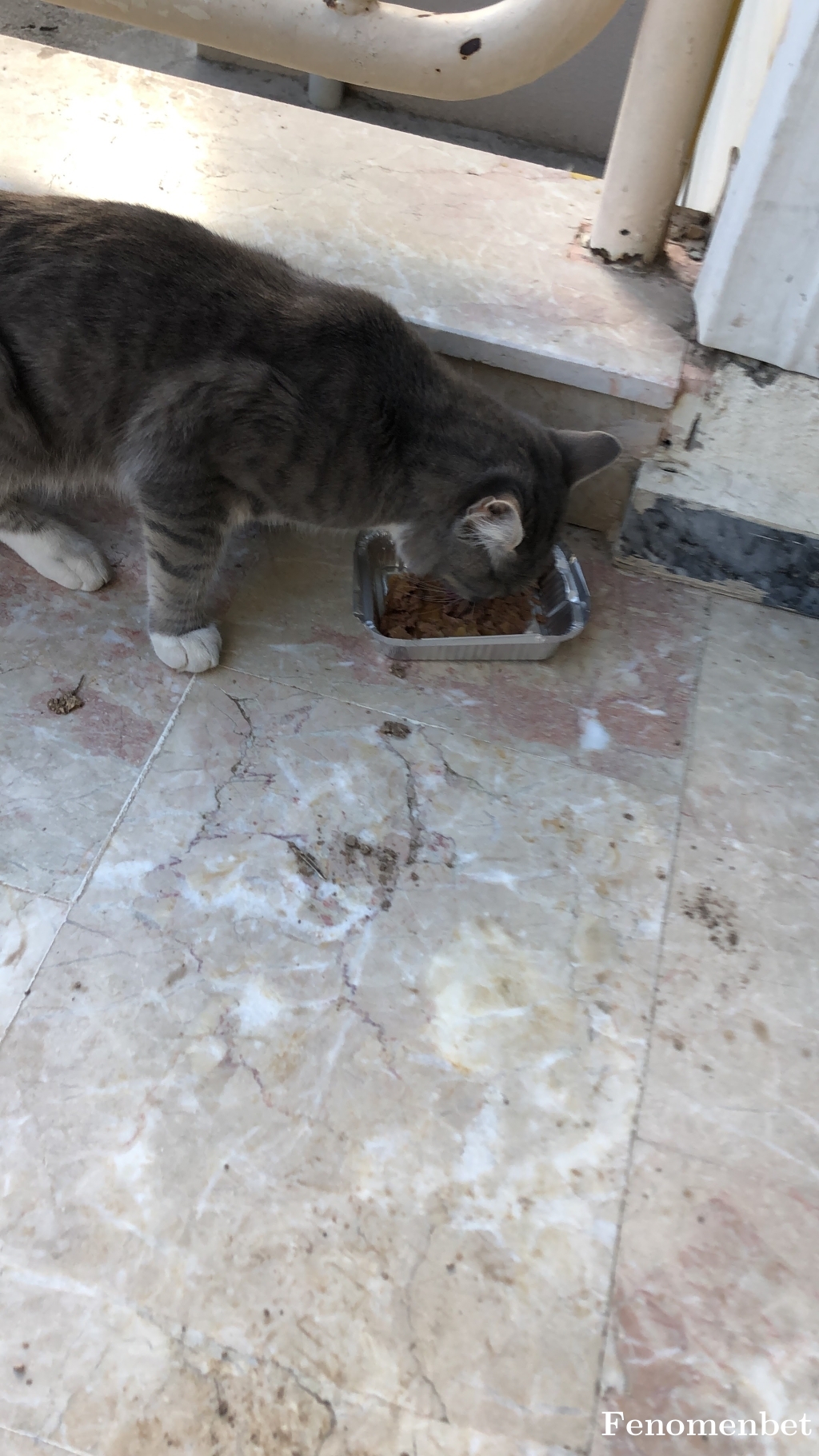 Yasindoner26 tarafından paylaşıldı