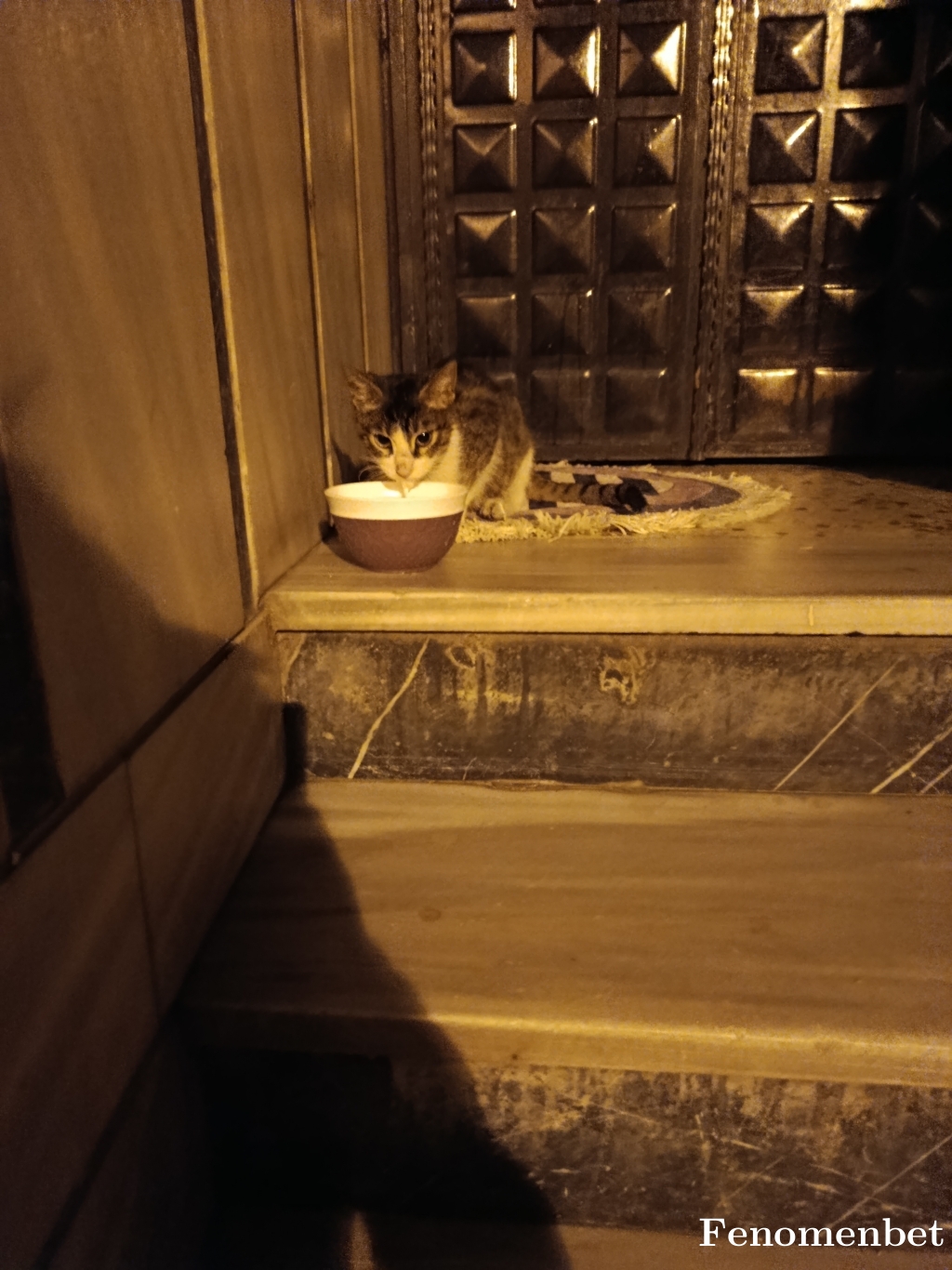 Oz520 tarafından paylaşıldı