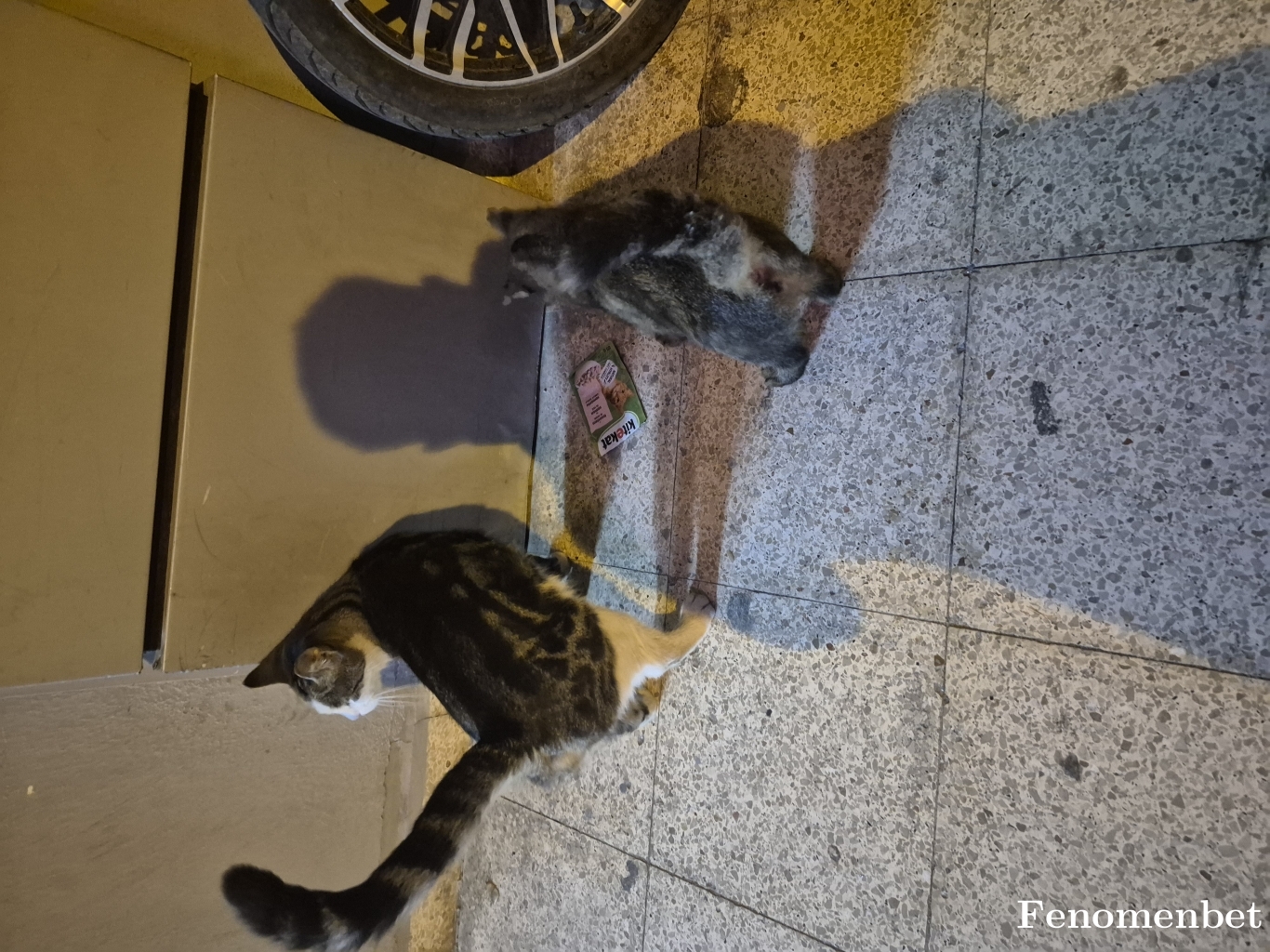 Ogzhnbyrm1 tarafından paylaşıldı