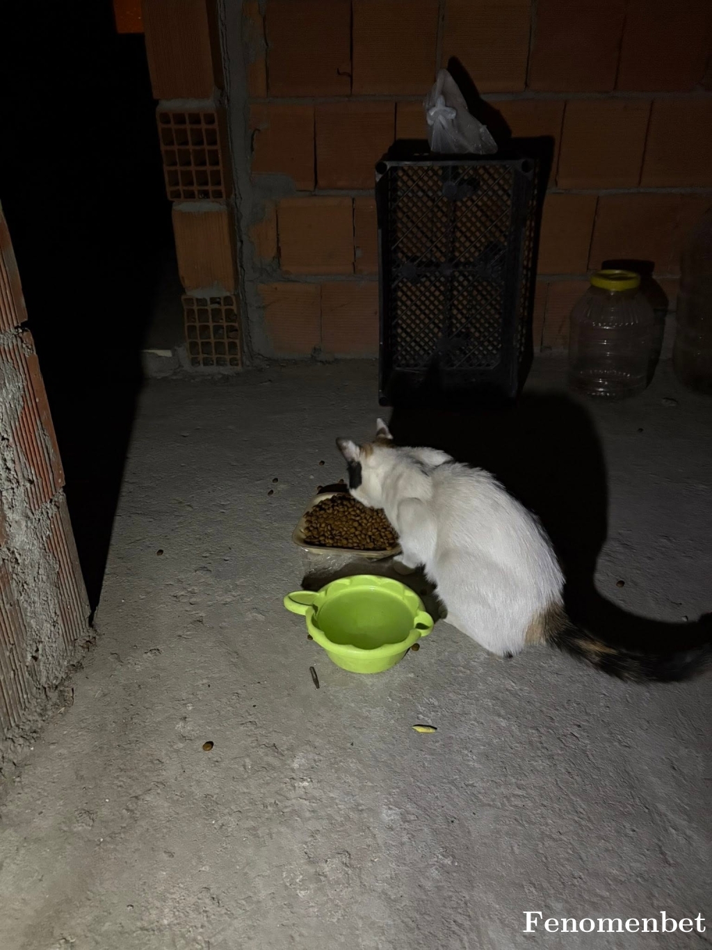 Nezirdak tarafından paylaşıldı