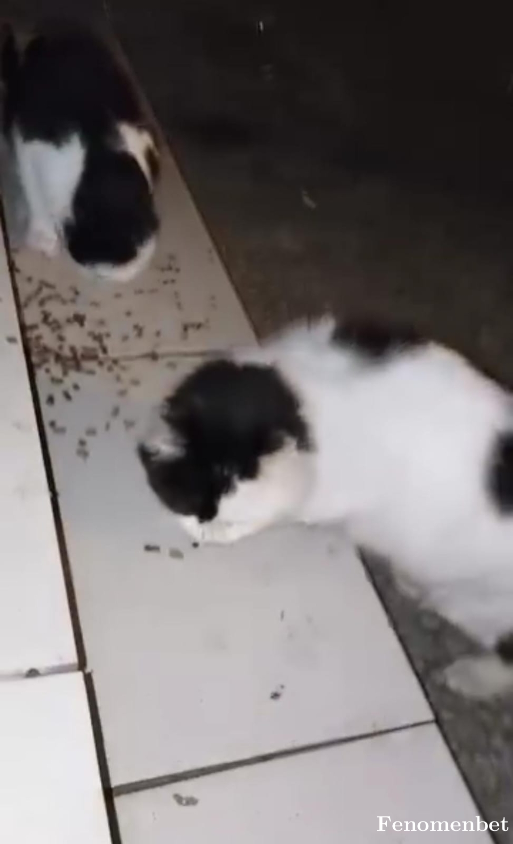 30ismail30  tarafından paylaşıldı