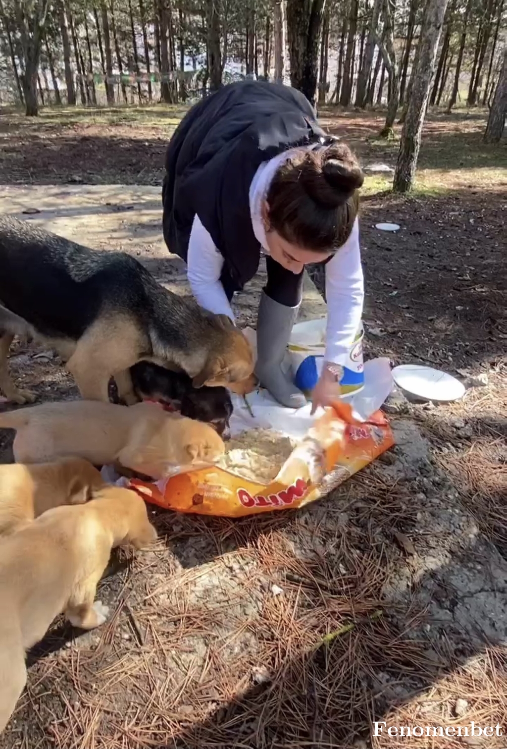 Cliyour tarafından paylaşıldı