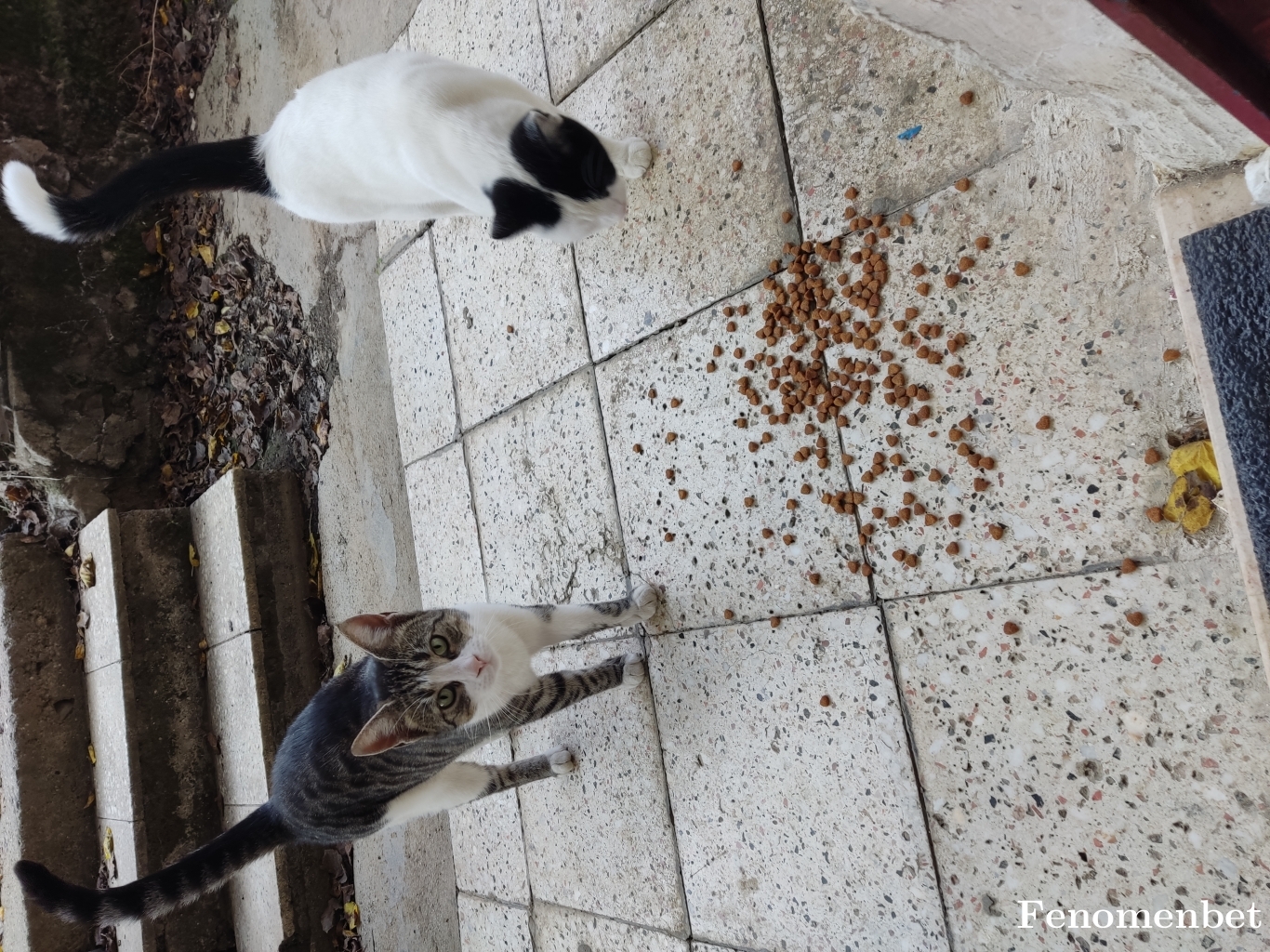 mustafaturkmen26 tarafından paylaşıldı