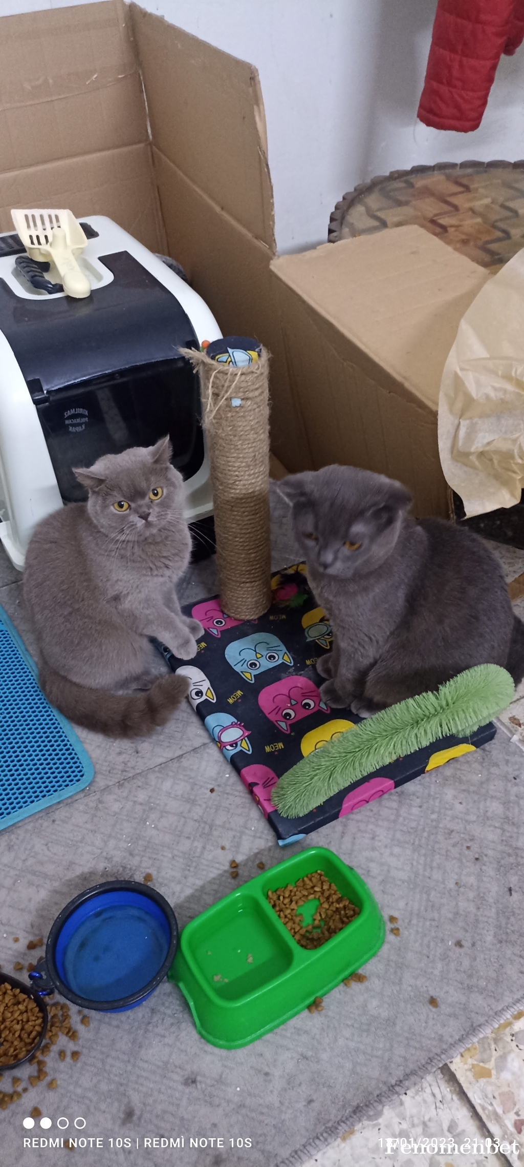 Kabusss321 tarafından paylaşıldı