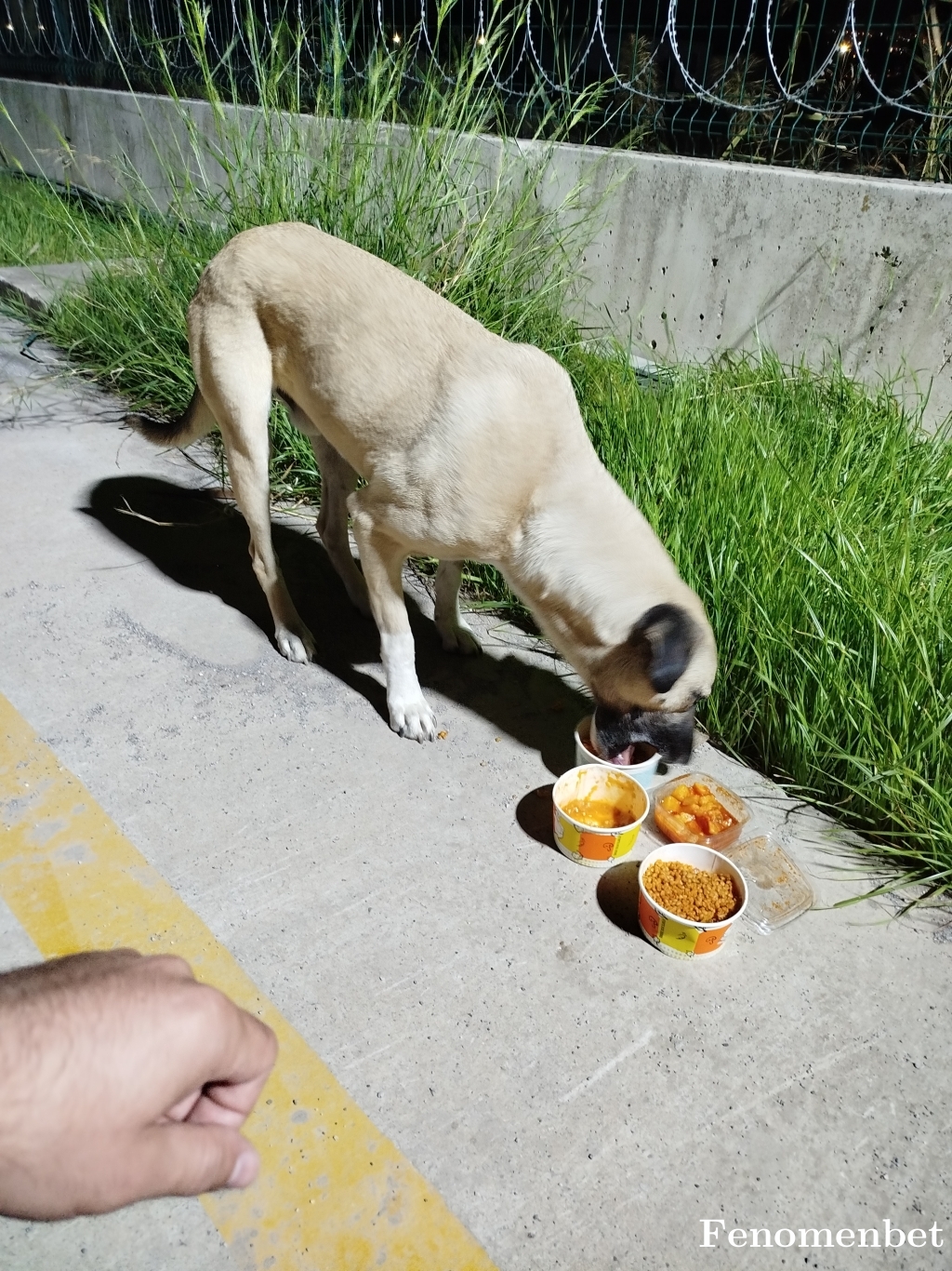 esinti3445 tarafından paylaşıldı