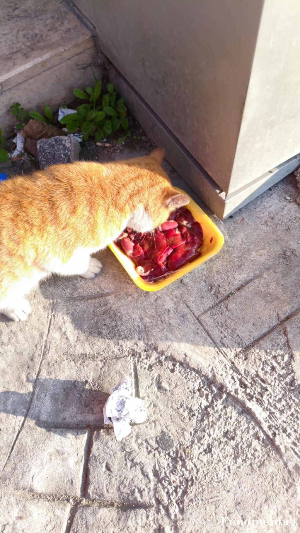 Ds1905 tarafından paylaşıldı