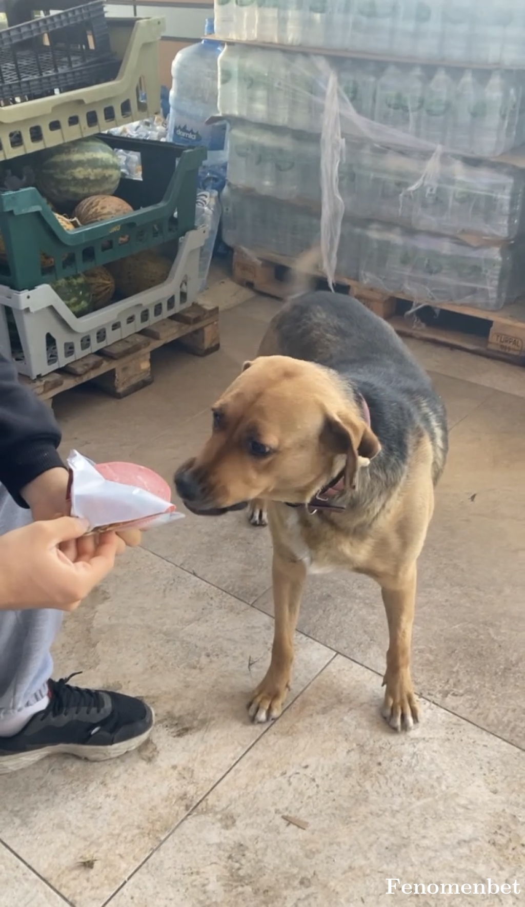 elaygtt tarafından paylaşıldı