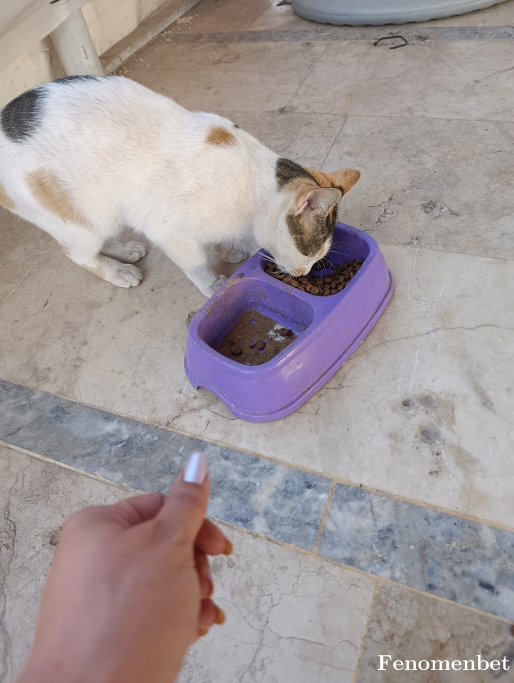 Ayfer45 tarafından paylaşıldı