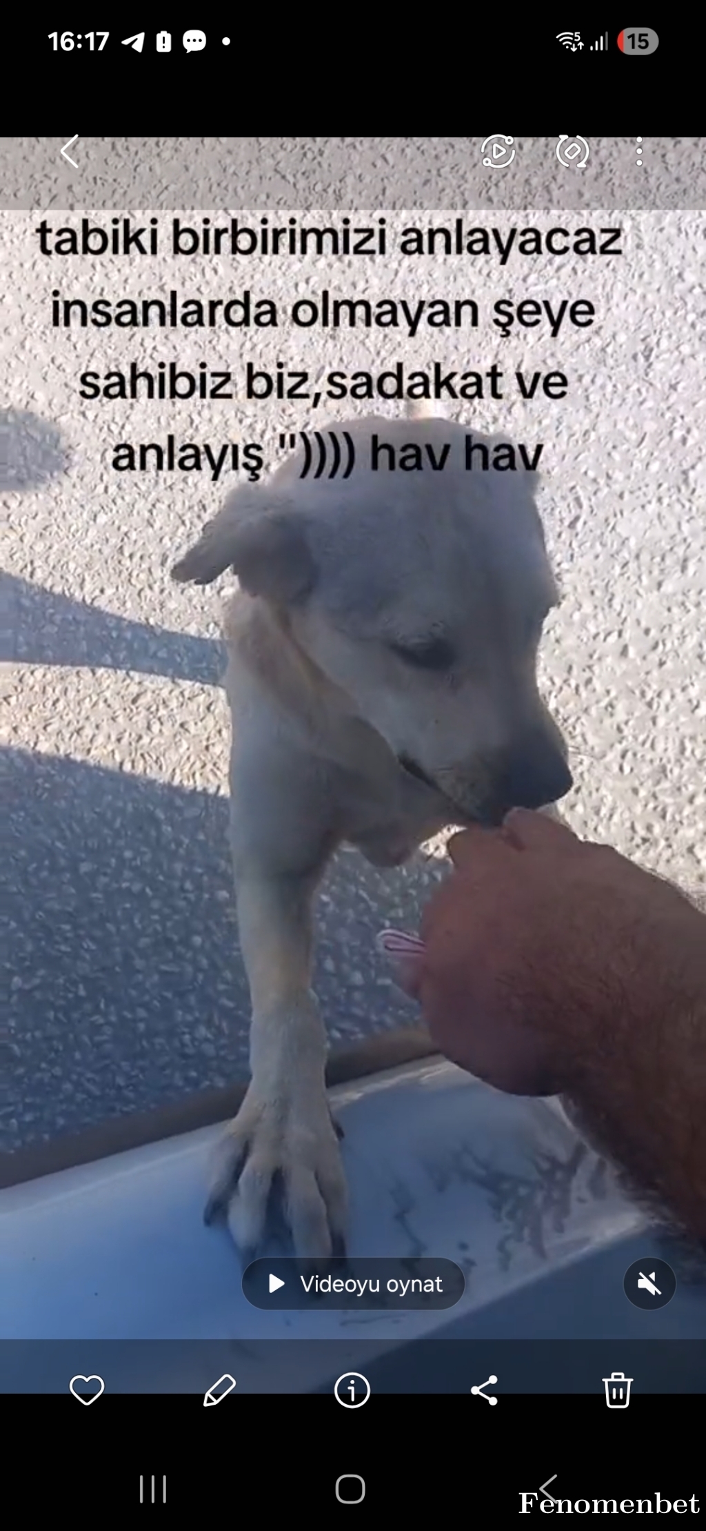 Kral333544 tarafından paylaşıldı