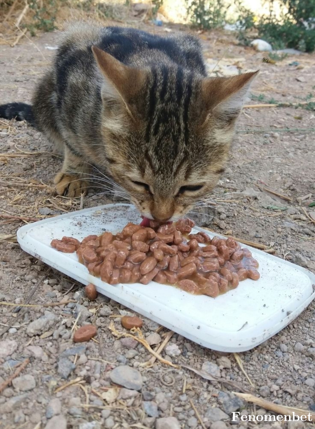 Slhatln01 tarafından paylaşıldı