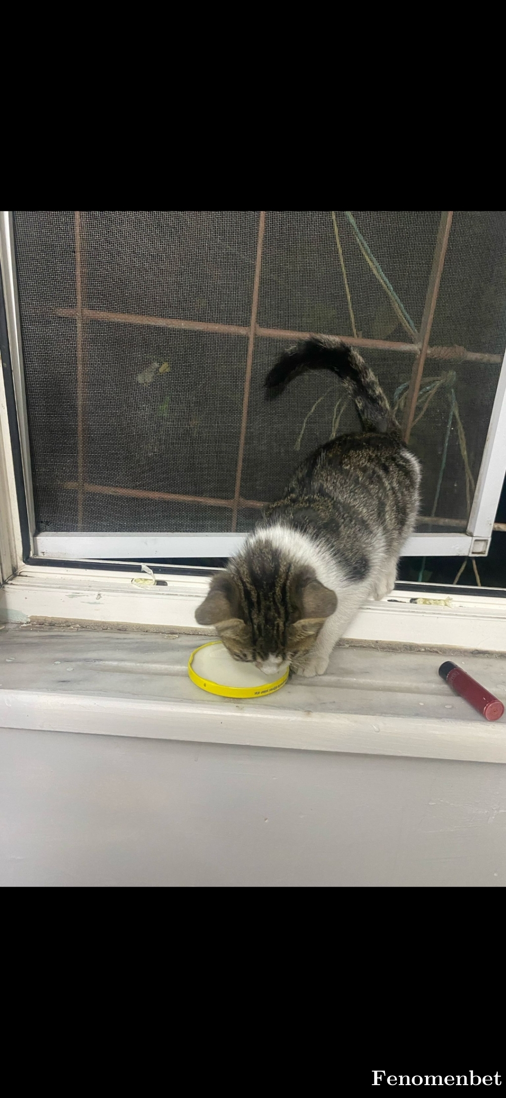 Bolucu6666 tarafından paylaşıldı