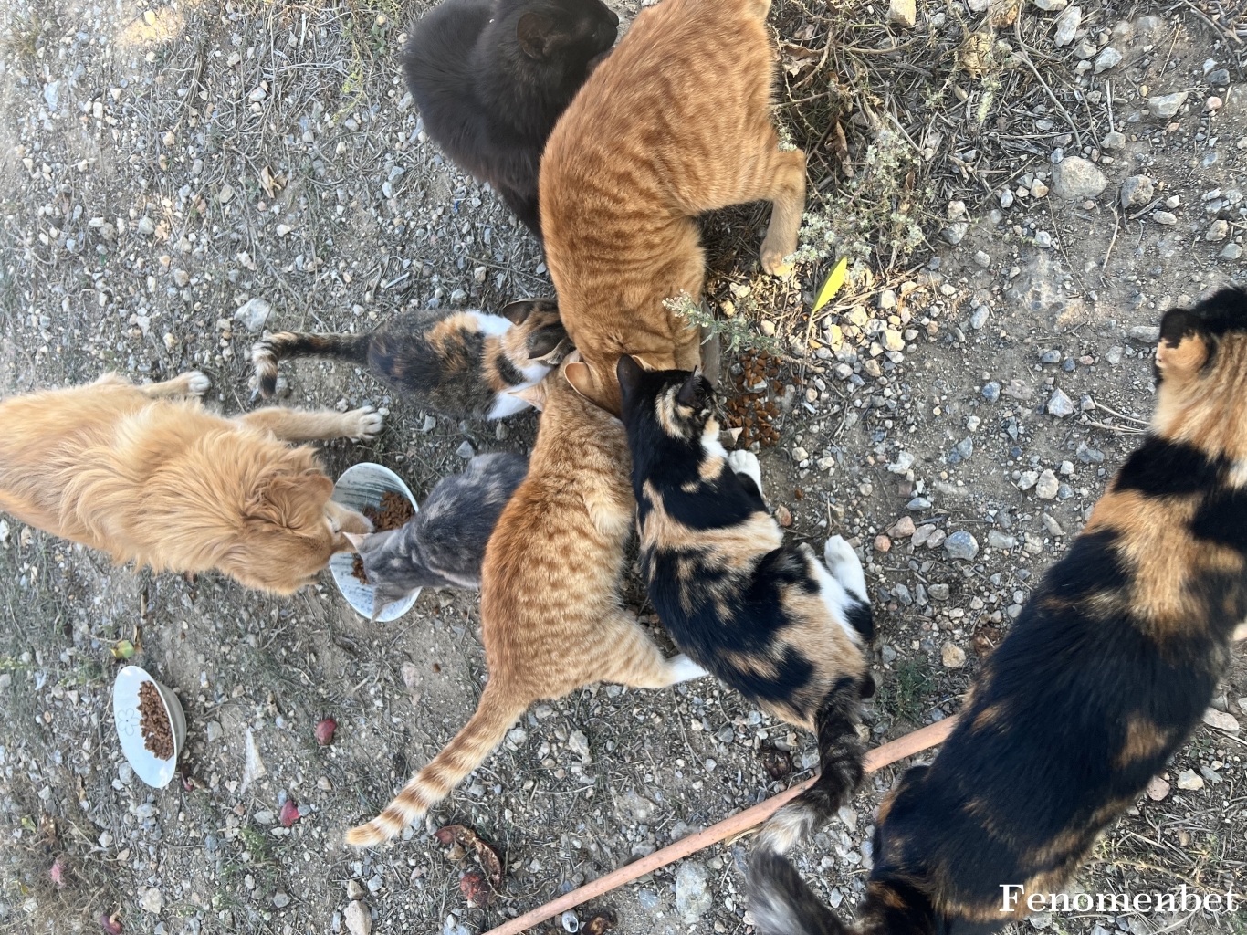 Elaege02 tarafından paylaşıldı