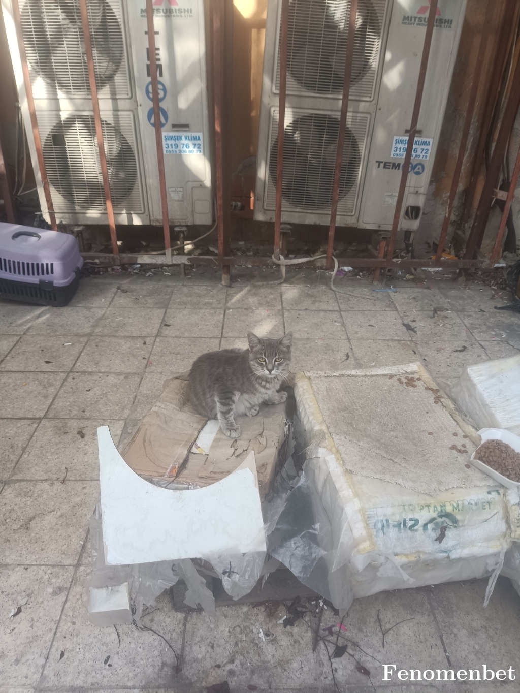 Nova06 tarafından paylaşıldı