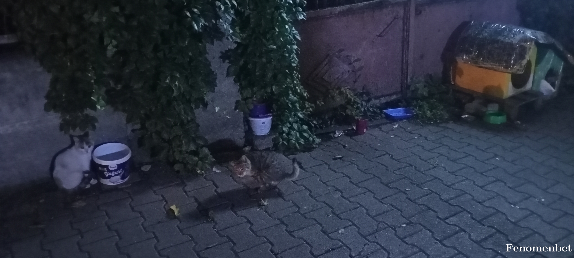 SSA55 tarafından paylaşıldı