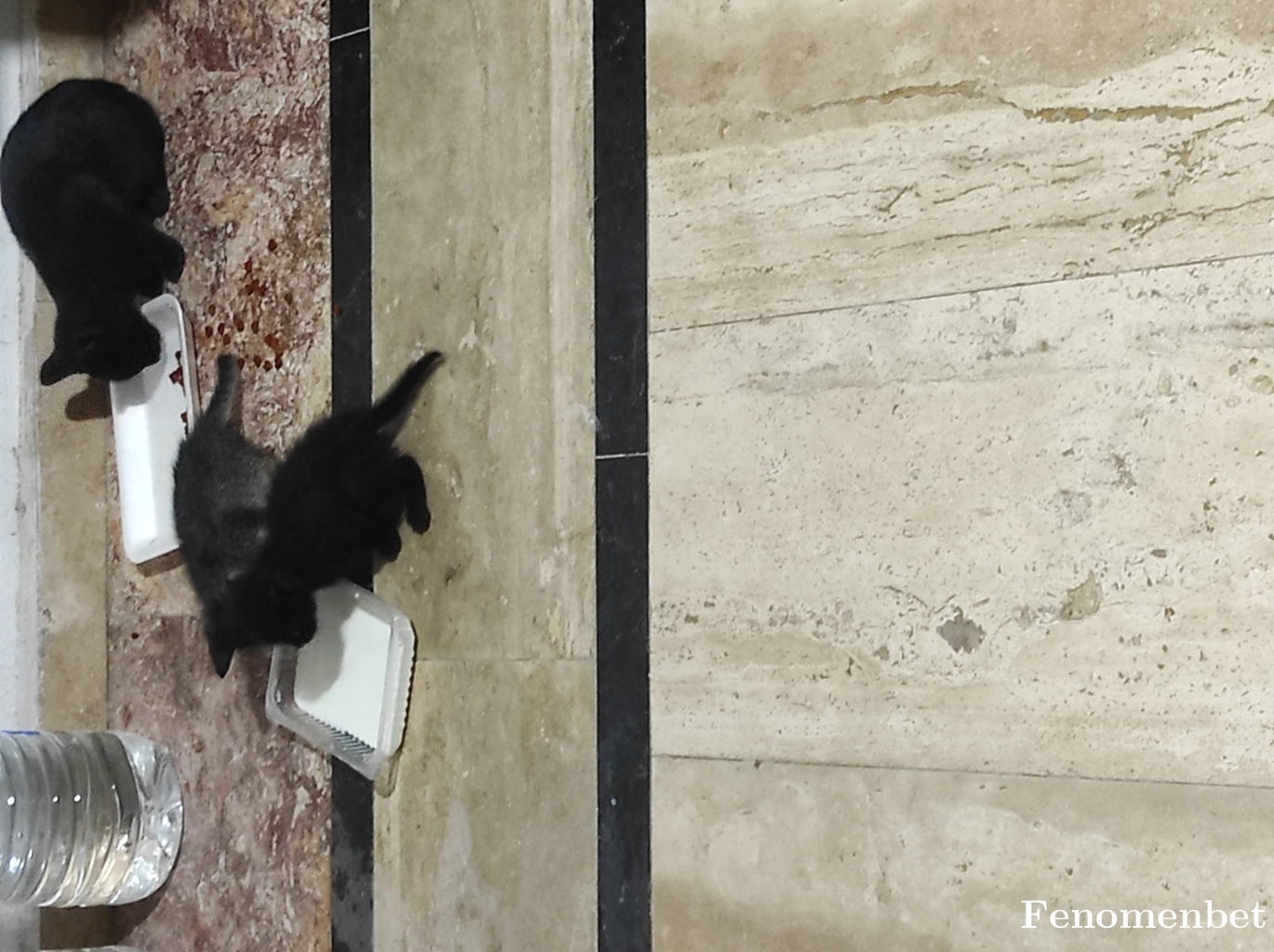 Alakise70 tarafından paylaşıldı