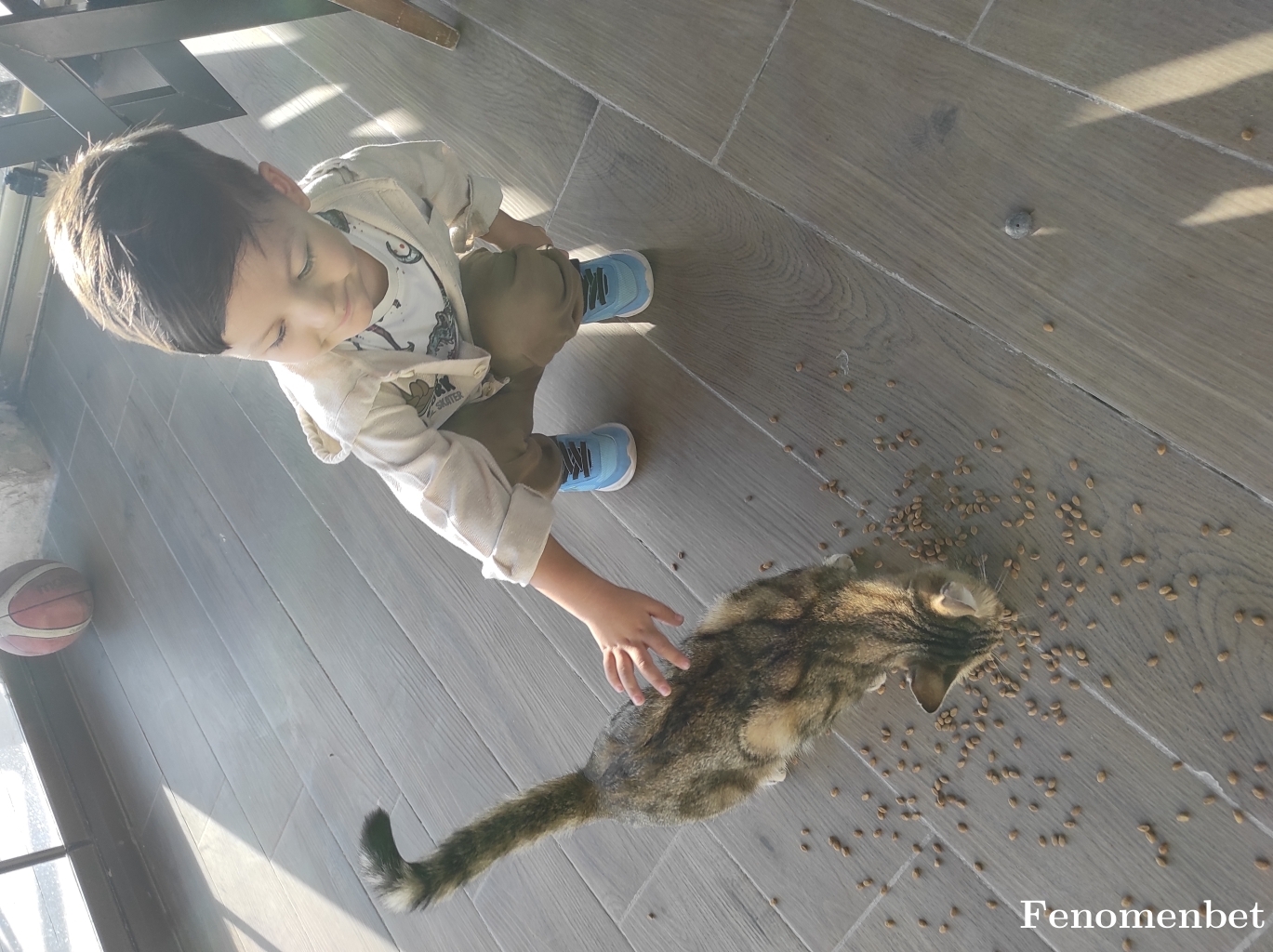 Omer7171 tarafından paylaşıldı