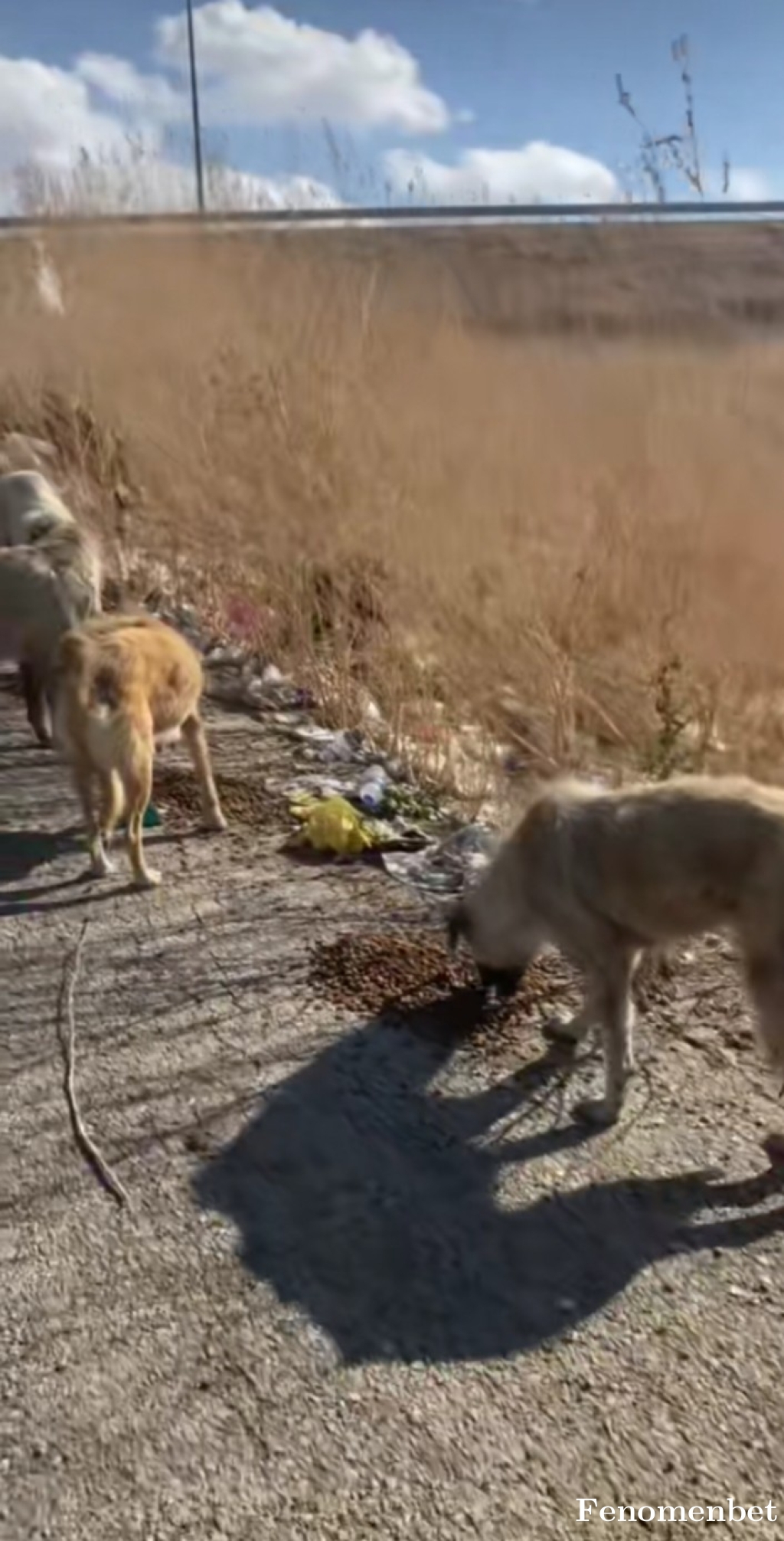 2meteparlak  tarafından paylaşıldı