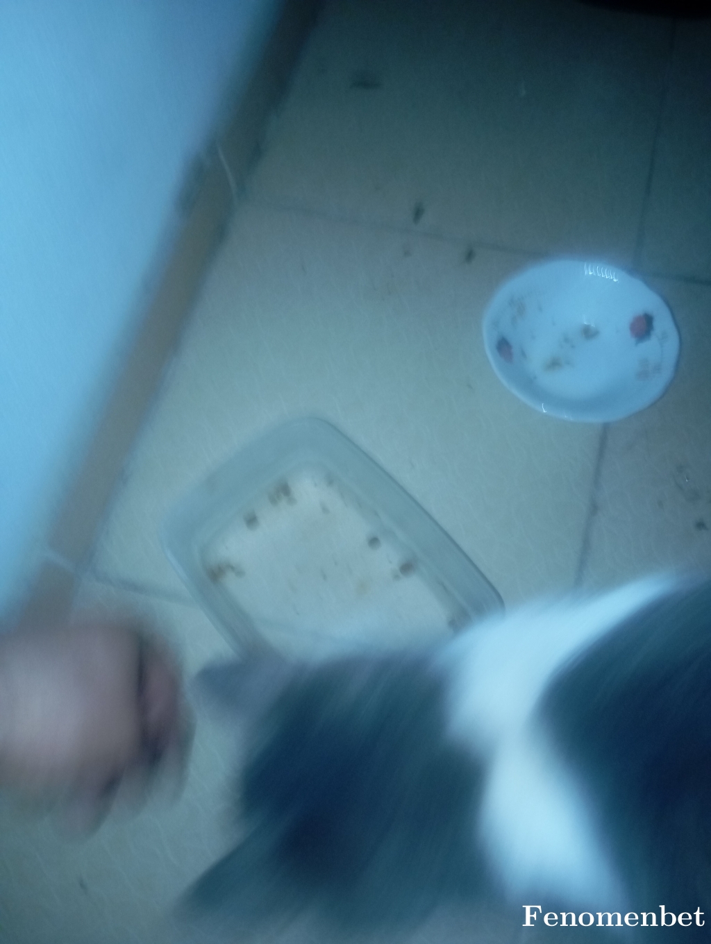 Tako3475 tarafından paylaşıldı