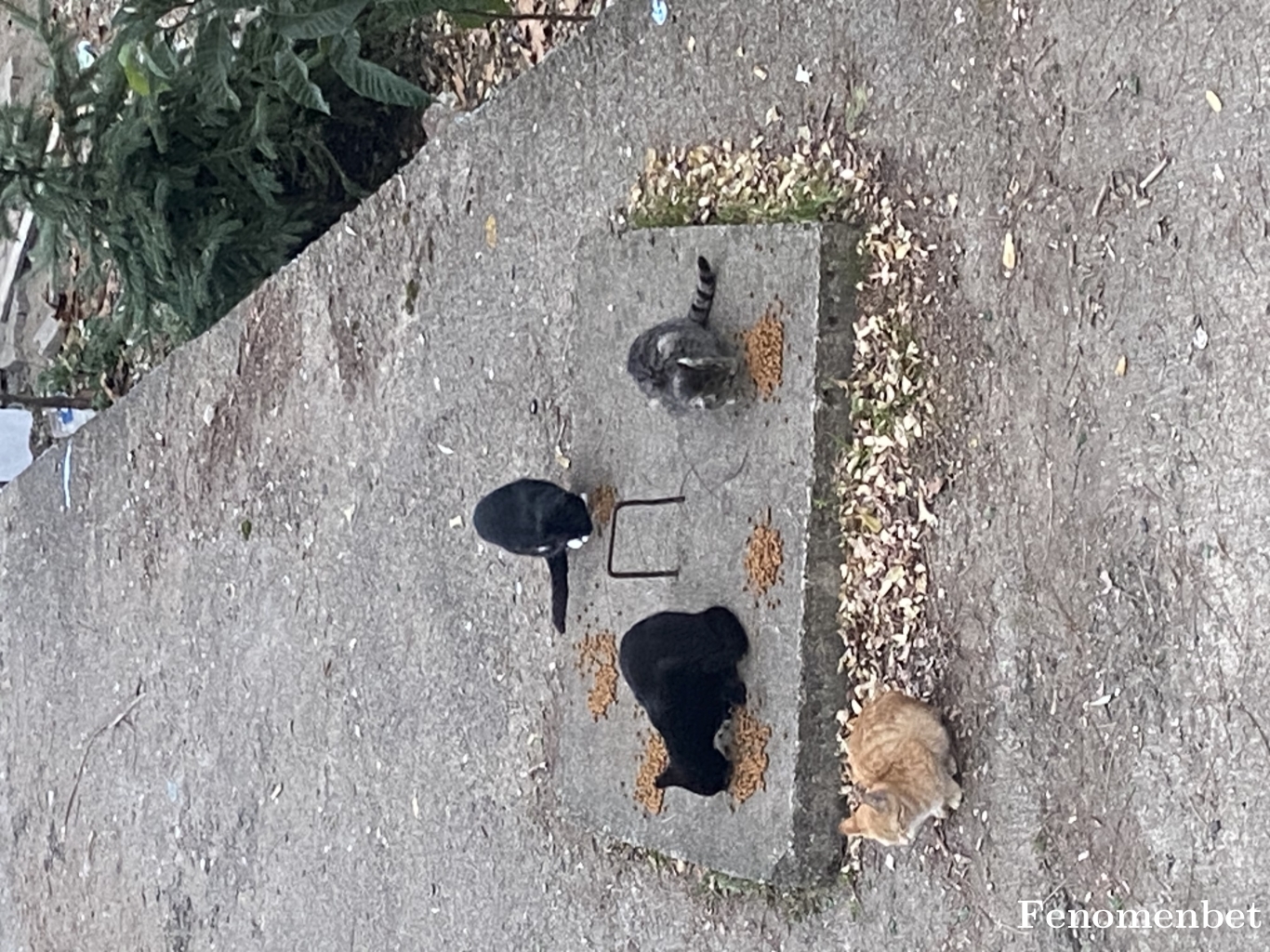 Kartal tarafından paylaşıldı