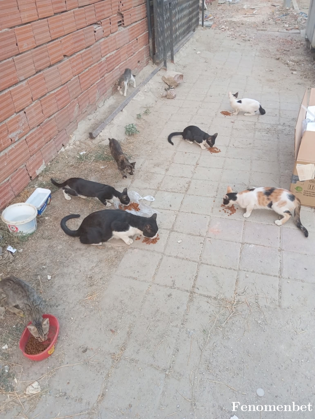 Marsmia tarafından paylaşıldı