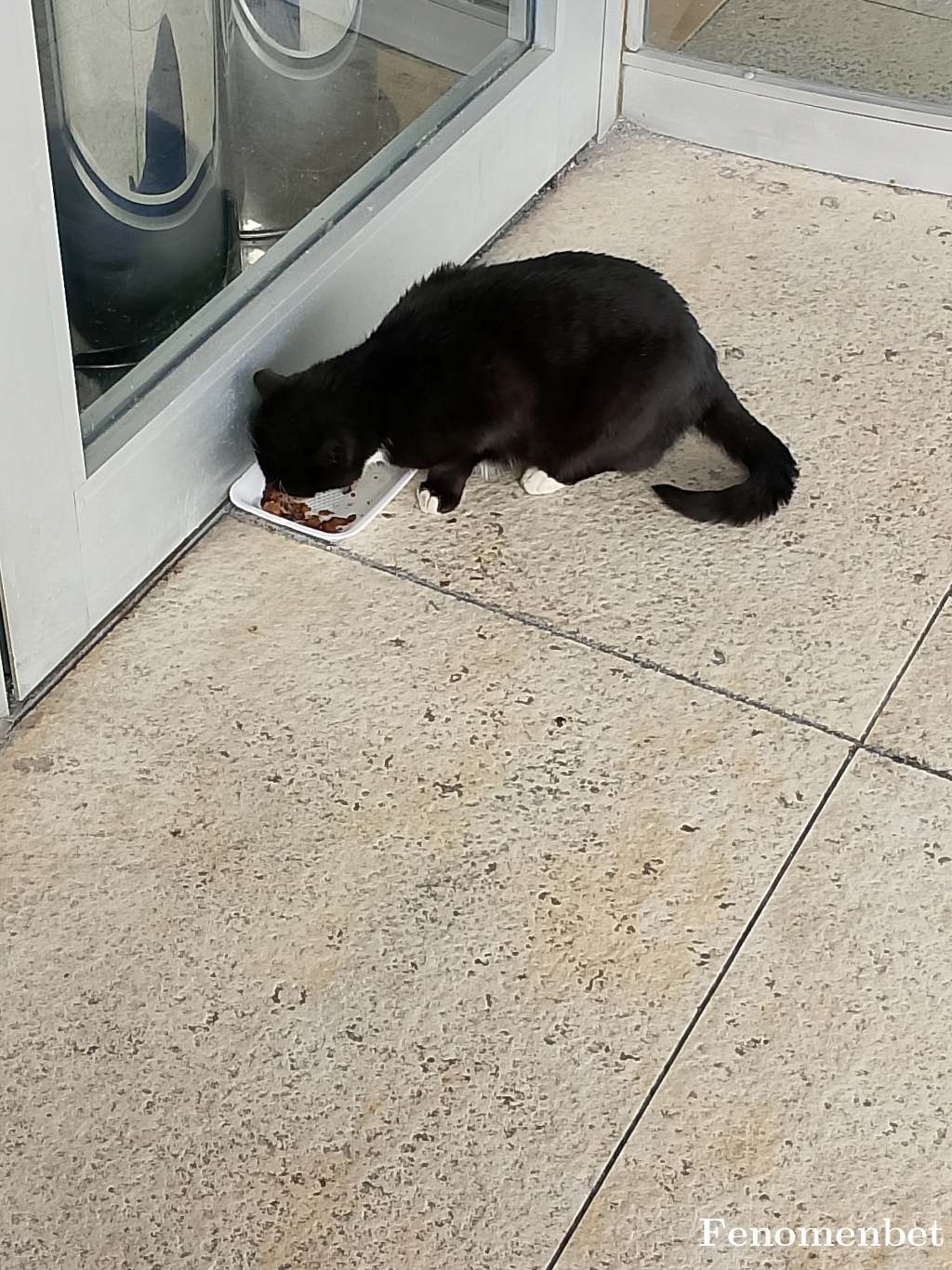 ersn92 tarafından paylaşıldı