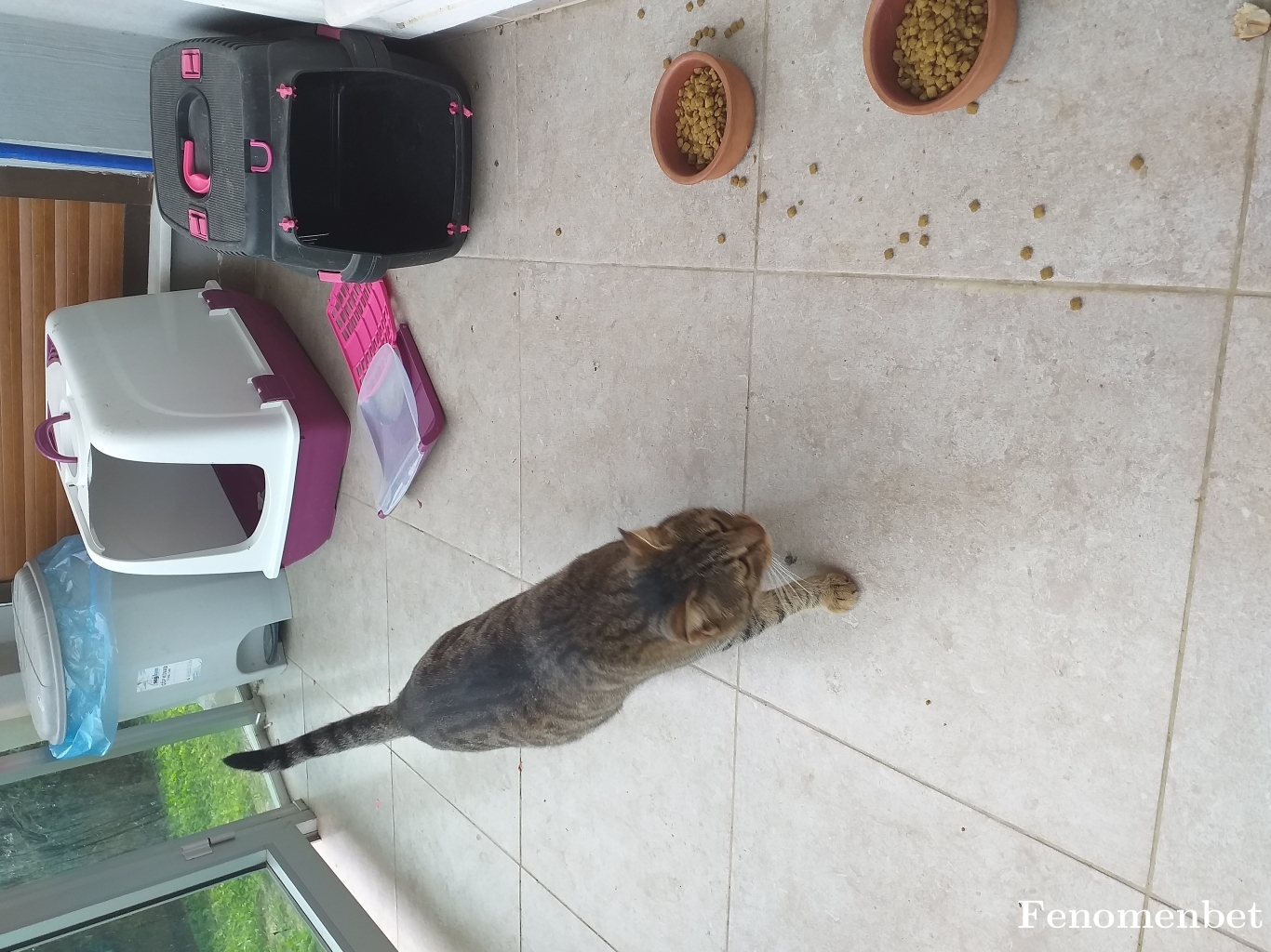 Eet1982 tarafından paylaşıldı