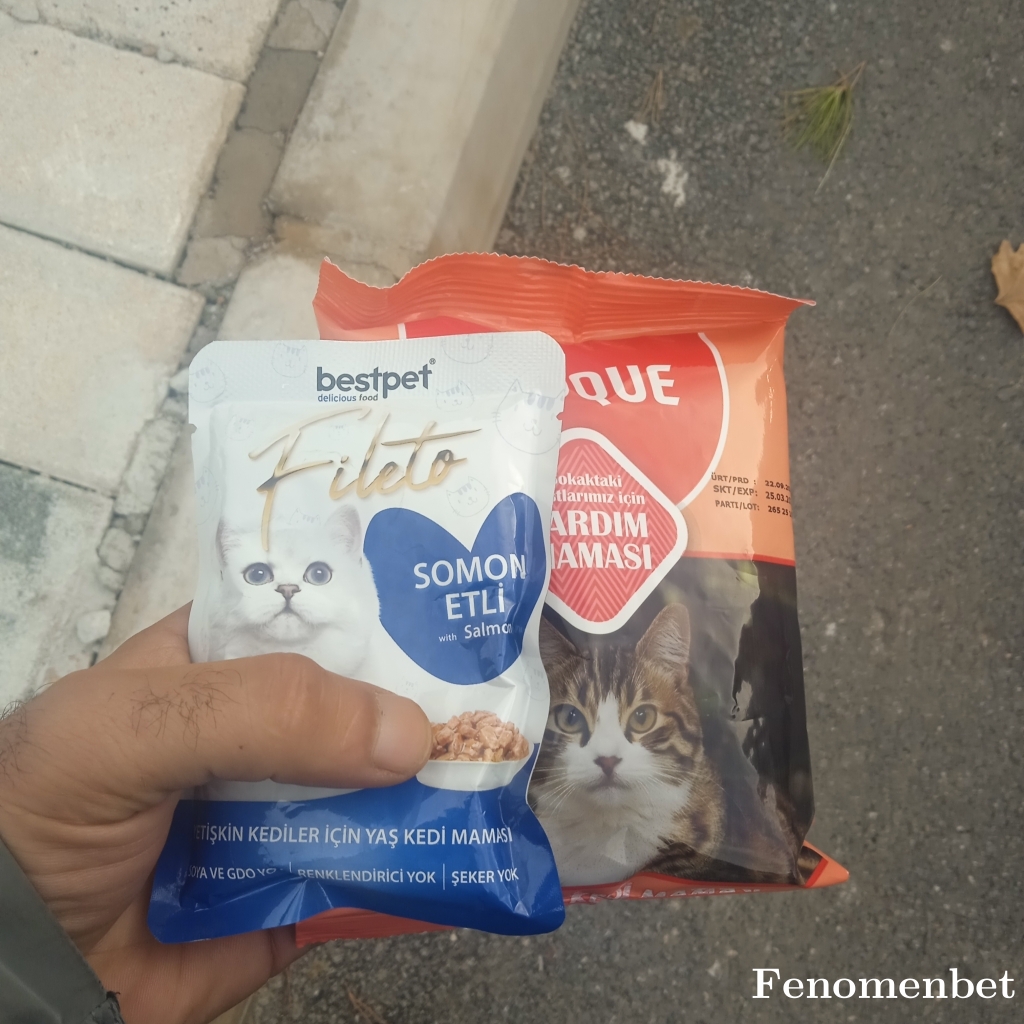 Neciperen21 tarafından paylaşıldı