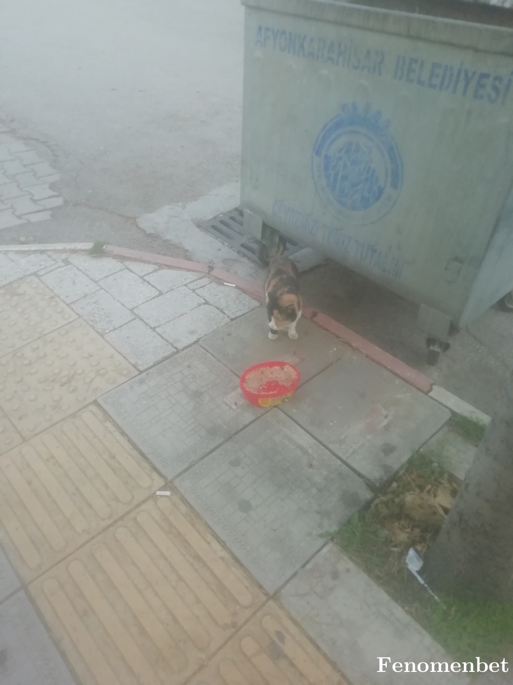 sokratess tarafından paylaşıldı