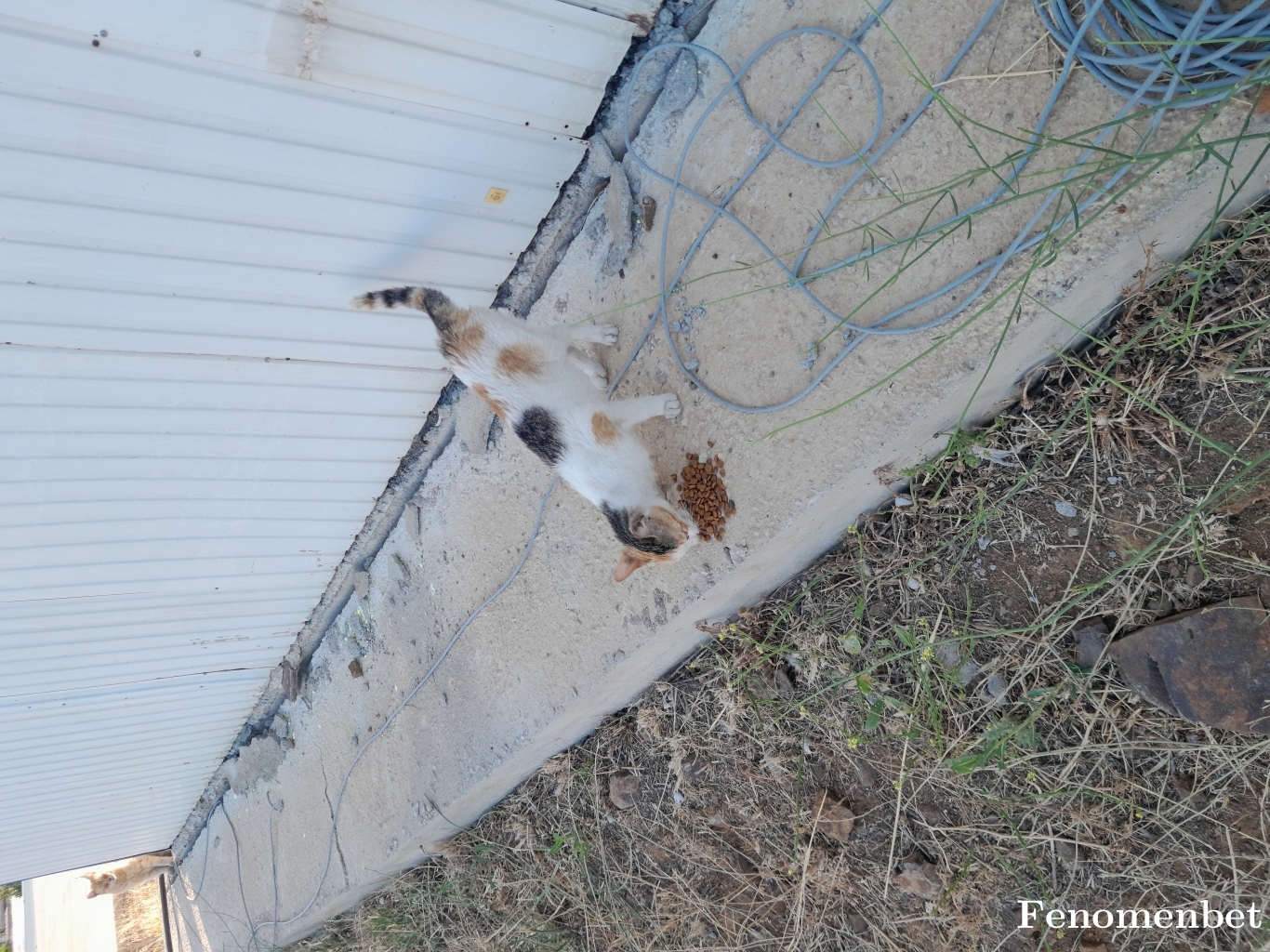 isazzt1 tarafından paylaşıldı