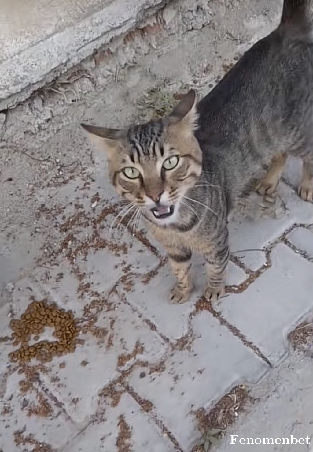 RicardoGuti tarafından paylaşıldı