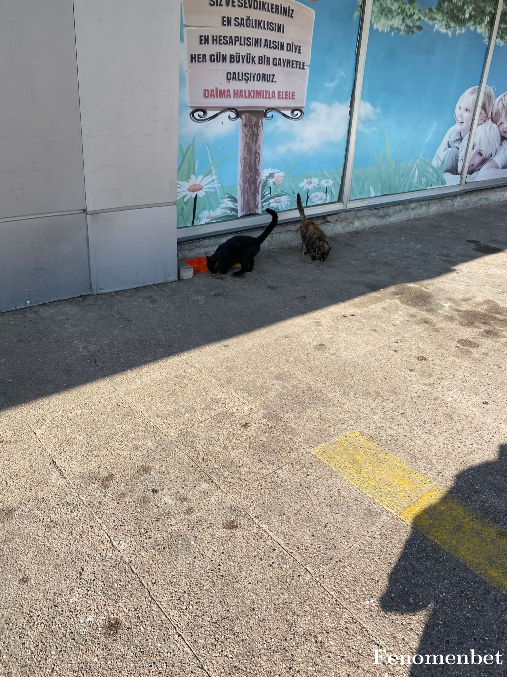 NuhunGemisi tarafından paylaşıldı