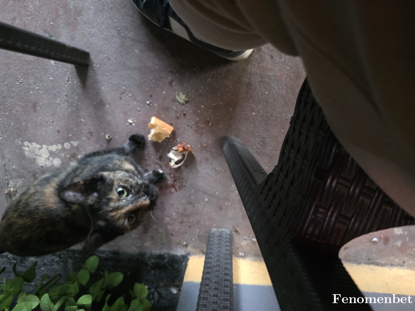 dogan3759 tarafından paylaşıldı