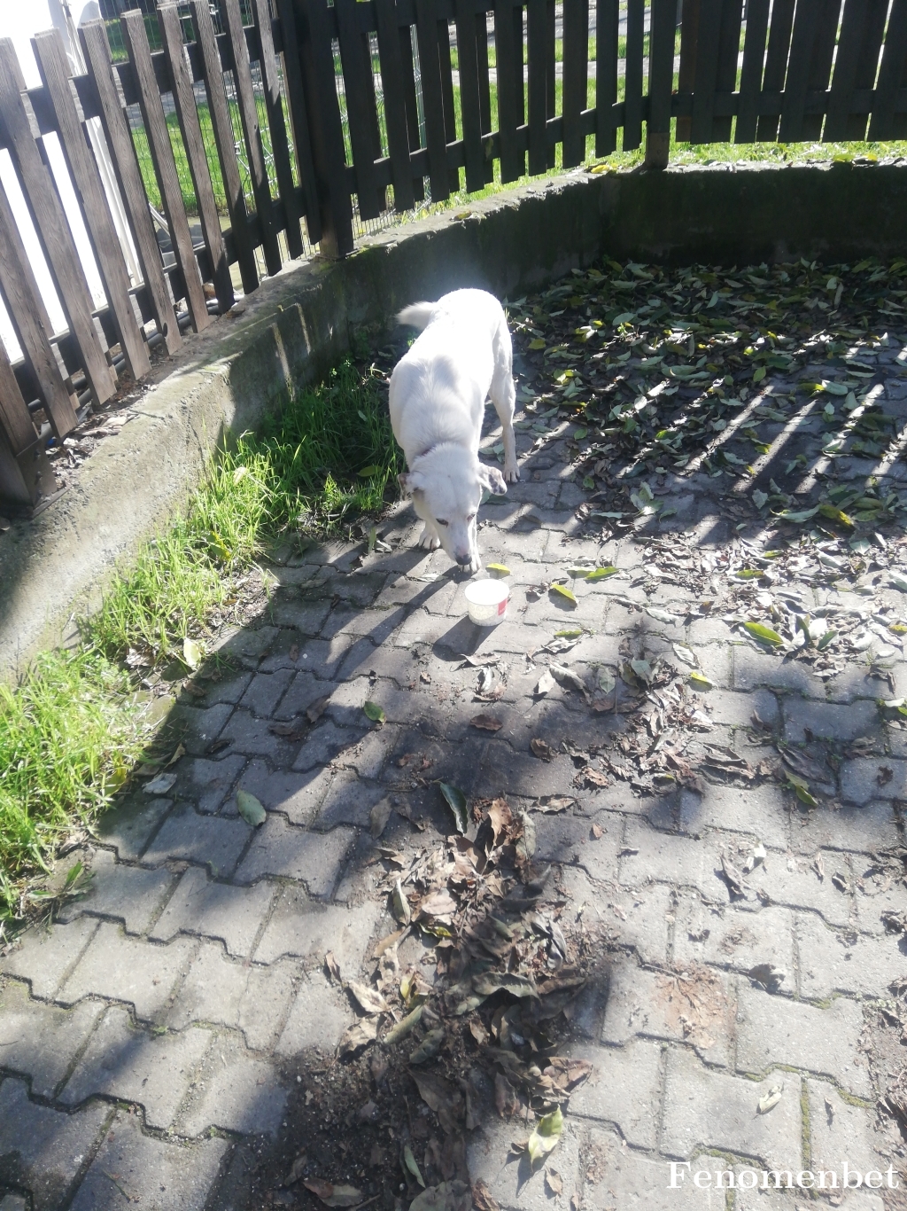 Tekin8134 tarafından paylaşıldı