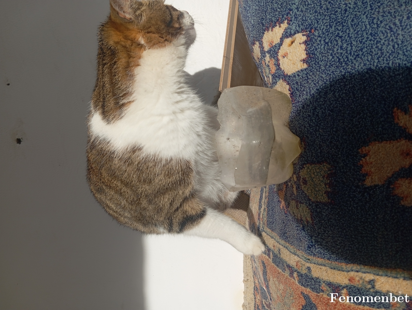 Selox54 tarafından paylaşıldı